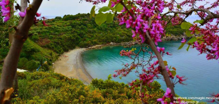 Кардамили & Ступа 