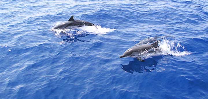 kalamata sailing trips